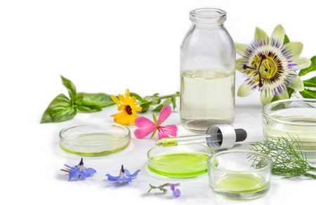 Alternative medicine, naturopath and dietary supplement. Herbal remedy in capsules and plants on wite background.の写真素材