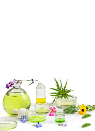 Alternative medicine, naturopath and dietary supplement. Herbal remedy in capsules and plants on wite background.の写真素材