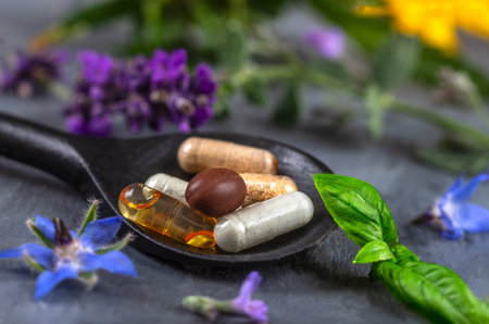 Holistic medicine approach. Healthy food eating, dietary supplements, healing herbs and flowers. lavender, spirulina powder in wooden spoons, fresh omega acid capsules.の写真素材