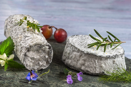 piece of French ash coated goats cheese close upの写真素材