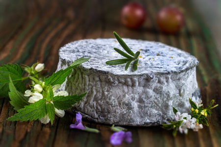 Single piece of French ash coated goats cheese close upの写真素材