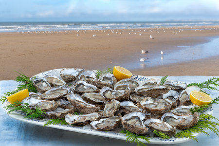 Oysters and white wine in a restaurant with a sea view seagulls on sandy beach,の写真素材