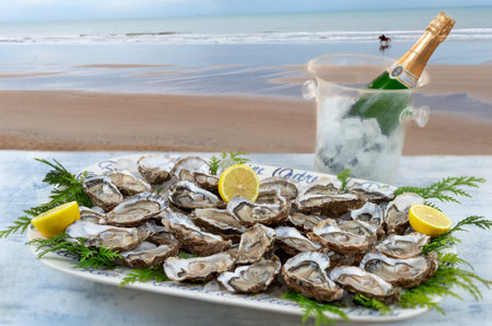 big Oysters plate and botle of champagne wine in a restaurant with a sea viewの写真素材