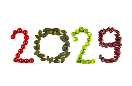 Happy New Year 2029 number made of fruits and berries on whiteの写真素材