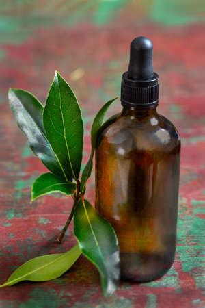 Healthy lifestyle concept. Natural bay laurel essential oil, essence in glass bottle with leaves on a rustyの写真素材