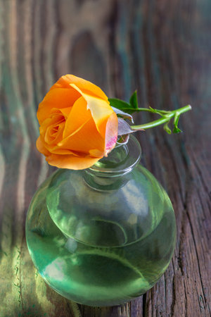 Romantic aromatherapy. Pink fresh blossom , rose essential oil in dark glass bottle. wooden bacgroundの写真素材