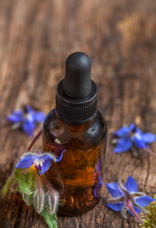 Borage herb flowers with essential oil bottle. Used in herbal medicine as a sedative, for hormonal problems, lung inflammation, bronchitis,の写真素材