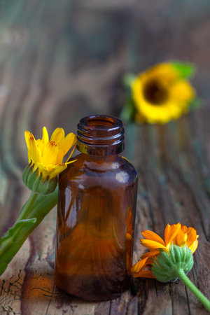 Calendula flowers and amber glass dropping bottle with essential oil. Marigold medicinal plant, herbal medicine, naturopathy and phytotherapy. Ingredient for natural beauty products and cosmetics.の写真素材