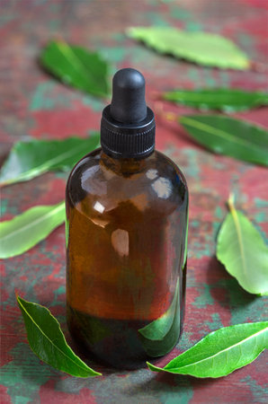 Healthy lifestyle concept. Natural bay laurel essential oil, essence in glass bottle with leaves on a rustyの写真素材