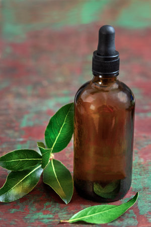 Healthy lifestyle concept. Natural bay laurel essential oil, essence in glass bottle with leaves on a rustyの写真素材