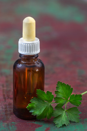 Parsley essential oil with fresh , leaves, on rustic wooden table, copy space, natural remedy for kidney, heart, menstrual, is good for skin and hair careの写真素材