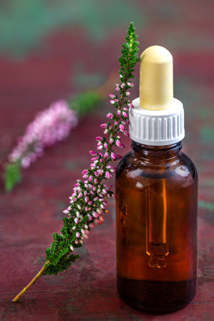 Bottle of heather essential oil or infusion, bunch of Calluna vulgaris flowers on background. Alternative herbal medicine.の写真素材