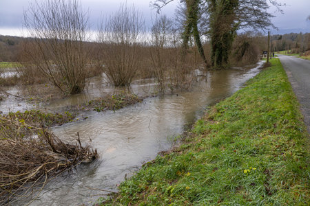 Normandy, France, Europe : Exterior photo view water floods in fieldsの写真素材