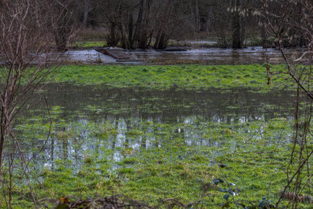 Exterior photo view water floods in fields creating damage in agriculture environmentの写真素材