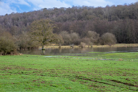 Exterior photo view water floods due to climate change in fields creating damage in agriculture environmentの写真素材