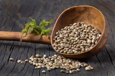 Handcrafted wooden scoop filled with hemp seeds on rustic wooden surfaceの写真素材