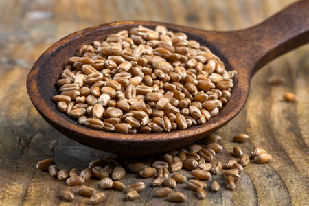 Brown seeds placed in a wooden spoon on a rustic wooden tableの写真素材