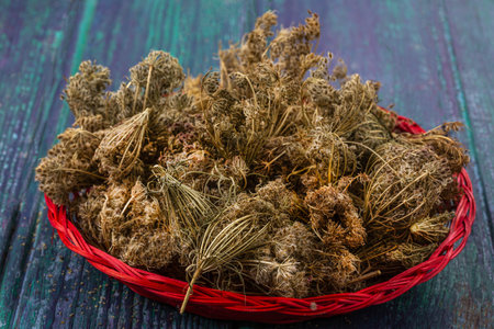 Dried herbs in a red basket on woodの写真素材