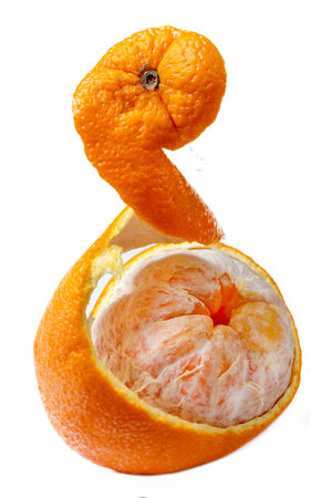 Curved orange peel reveals juicy segments insideの写真素材