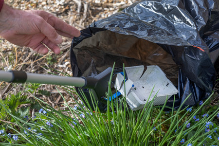 Environmental cleanup effort in a park setting