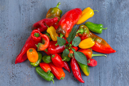 Freshly harvested chili peppers from a local farm