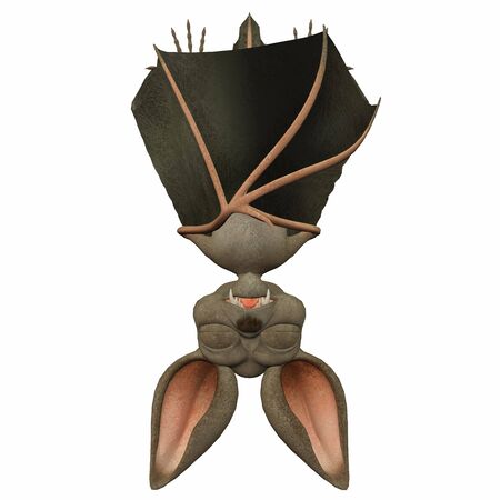Illustration of a Cartoon Bat isolated on a white backgroundの写真素材