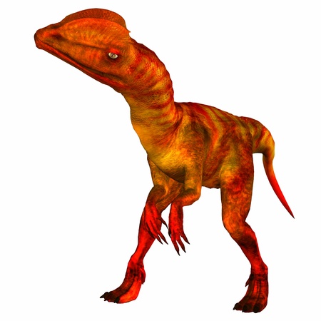 Illustration of a Dilophosaurus  dinosaur  isolated on a white backgroundの写真素材