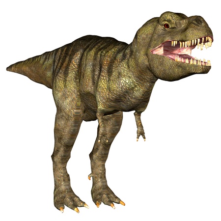 Illustration of a Tyrannosaurus-Rex   T-rex  isolated on a white background の写真素材