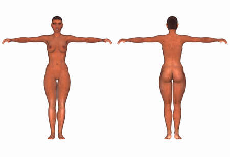 Illustration of the human body of an african female isolated on a white backgroundの写真素材