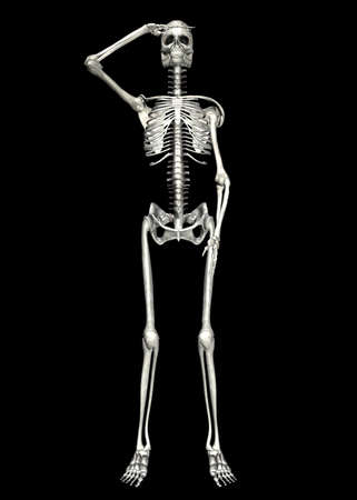  Illustration of a skeleton isolated on a black backgroundの写真素材