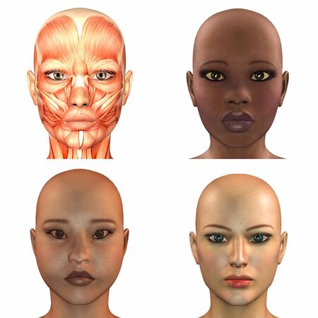 Illustration of a pack of four  4  different female faces isolated on a white backgroundの写真素材