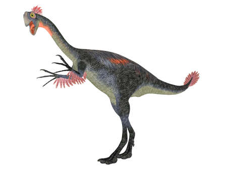 Illustration of a Gigantoraptor  dinosaur species  isolated on a white background