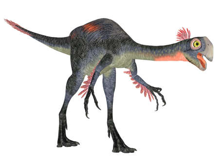 Illustration of a Gigantoraptor  dinosaur species  isolated on a white backgroundの写真素材