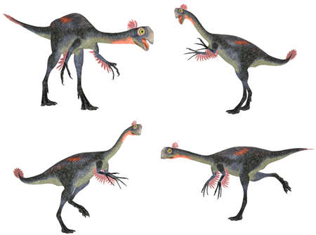 Illustration of a pack of four  4  Gigantoraptor with different poses isolated on a white background