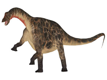 Illustration of an Dicraeosaurus  dinosaur species  isolated on a white backgroundの写真素材