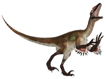 Illustration of an Utahraptor  dinosaur species  isolated on a white backgroundの写真素材