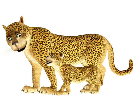 Illustration of a happy leopard family isolated on a white backgroundの写真素材