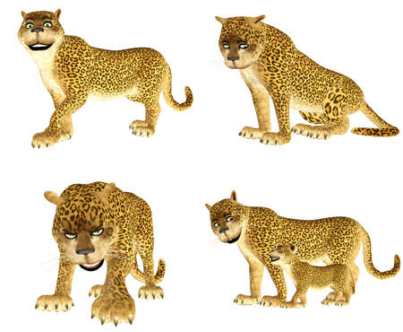 Illustration of a pack of four  4  leopards with different poses and expressions isolated on a white backgroundの写真素材