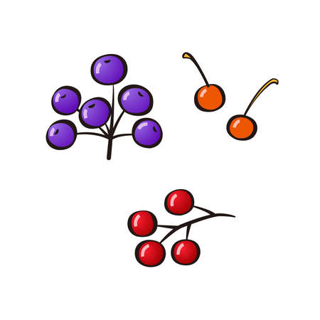 It is an illustration set of nuts in the image of autumn.