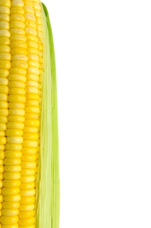 Grains of Ripe Corn with Water Dropletsの写真素材