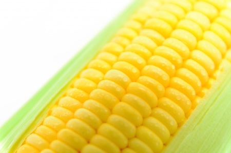 Grains of Ripe Corn with Water Dropletsの写真素材