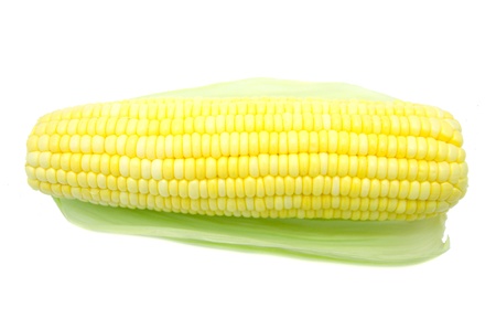 Grains of Ripe Corn with Water Dropletsの写真素材
