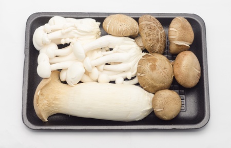 oyster mushrooms on black palstic plateの写真素材