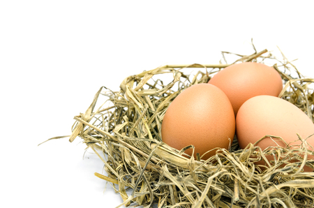 Brown eggs in a nest isolated on a white backgroundの写真素材
