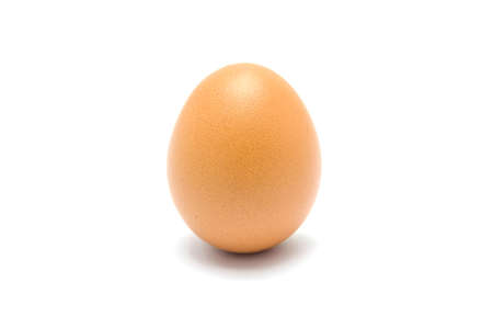 Close up egg, isolatedの写真素材