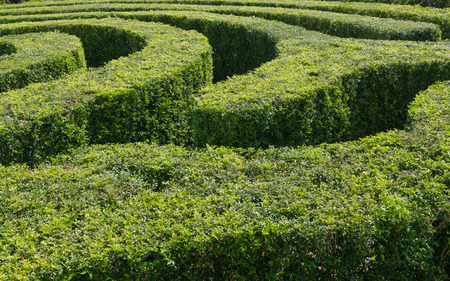tracks of a swirling mazeの写真素材