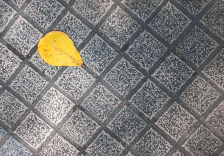 Yellow leaf laying on the tile floor