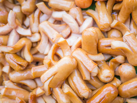 Fried, oily, sausage able to use as background