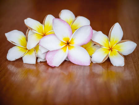 Plumeria flowers on wooden background with reflectionの写真素材