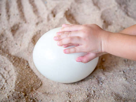 Child's hand touching an egg laid on the sand abstract of learning the natureの写真素材